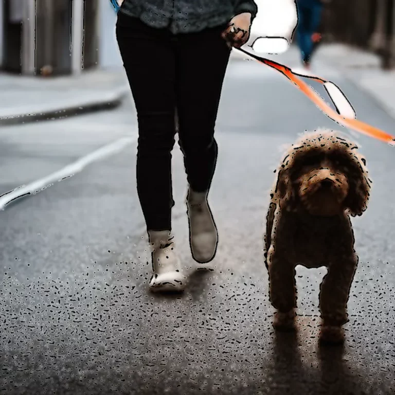 Artistic representation for Dog Walking Causing Surprising Increase In Human Injuries | Positive Encouraging K - LOVE