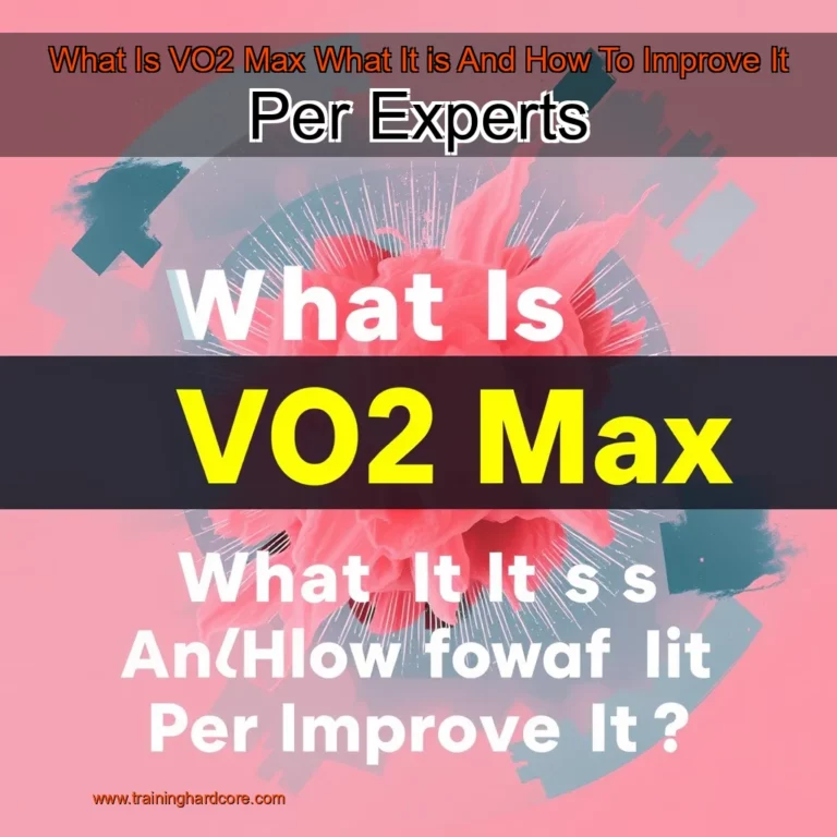 Artistic representation for What Is VO2 Max What It is And How To Improve It Per Experts